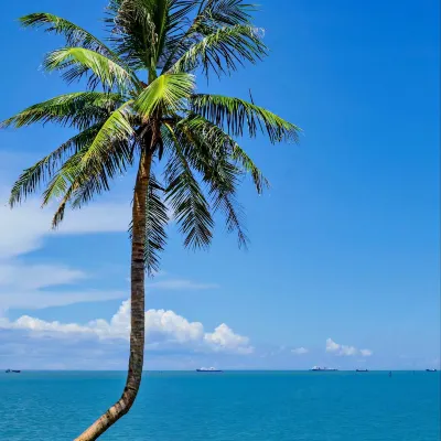 Encounter the coast theme apartment (century park Evergrande bund store) Hotels near Shiji Bridge