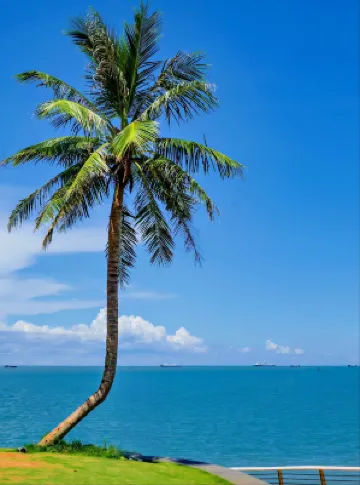 邂逅海岸酒店（濱海大道外灘中心店） 鄰近世紀大橋的酒店