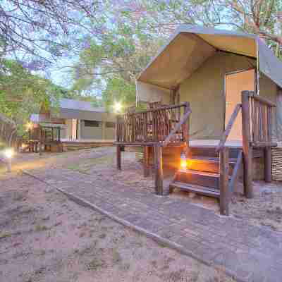 Boteti Tented Safari Lodge Hotel Exterior