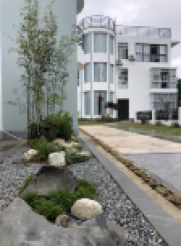 Dongshan MISHU homestay