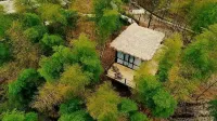 HeZhuangXiaoJu