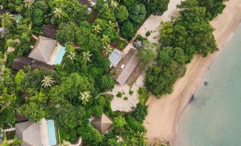aerial view of a tropical resort with multiple beach huts and palm trees surrounding the water at Island Escape Burasari