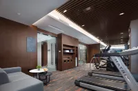 Hampton by Hilton Yuxi Hongta Railway Station - Gym