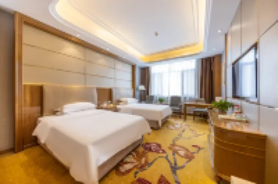 비엔나 호텔 (우웨이 톈이 맨션 지점)