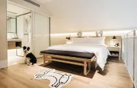 케널스 반려동물 친화적 호텔 친황다오 아나야 국제 골프 클럽 주변 호텔