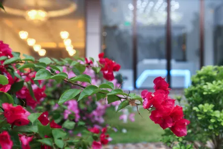 左岸花棲民宿（20元人民幣景區店）