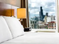 Hyatt Regency McCormick Place Chicago Hotels near Bridgeport