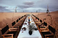 Shayun Desert Camping Base
