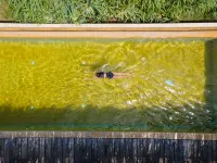 Elements Beach & Nature Resort - Hot Tub