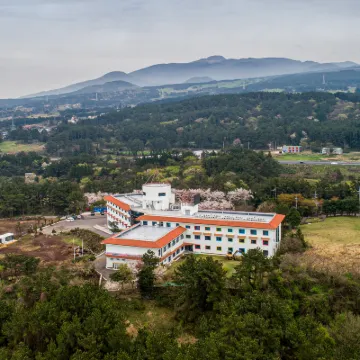 New Korea Youth Hostel Hotels near Everis Golf & Resort