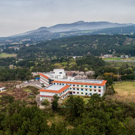 New Korea Youth Hostel Отели рядом с достопримечательностью «Храм Кымсундан»