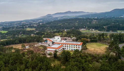 New Korea Youth Hostel - Kolam Renang