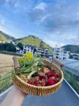 Tonglu Qimu Qiushan Homestay (OMG Heartbeat Park) - 마운틴 뷰