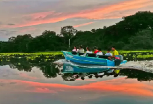 Grand Amazon Lodge and Tours - All Inclusive - バー