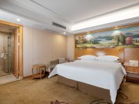维也纳酒店(贵阳花果园店) - 标准大床房