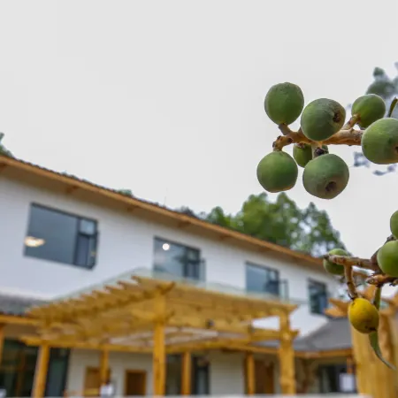Mianyang orange courtyard home stay
