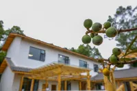 Mianyang orange courtyard home stay Các khách sạn ở Miên Dương