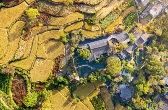 宏村塔川書院·稻亭溪竹美宿 鄰近塔川的酒店