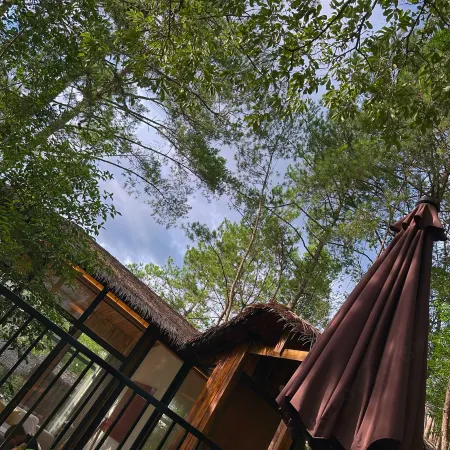 Dayue Bay Leisure Vacation Homestay