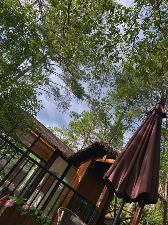 Dayue Bay Leisure Vacation Homestay Отели рядом с достопримечательностью «Anfu Temple (liubowengulilvyoujingqu)»