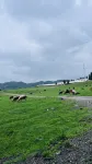 Yunpan Xingwu Homestay (Wumeng Grass Plain)