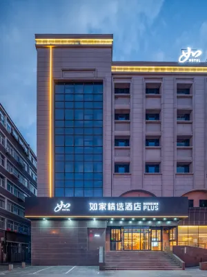 Home Inn Plus (Ürümqi South Lake Square Metro Station) - สัตว์เลี้ยง