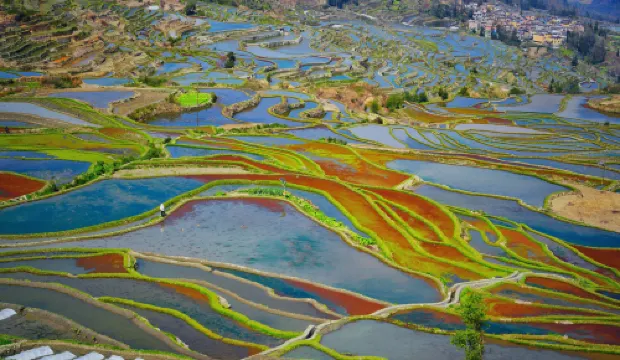 元陽田園慕歌·sightsee·日出觀景精品民宿