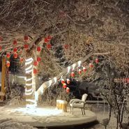 Altay Aye Yuanzi Homestay