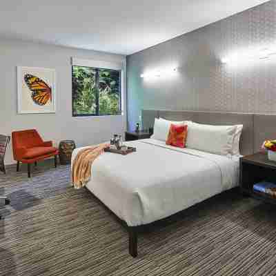Hotel Mariposa Rooms