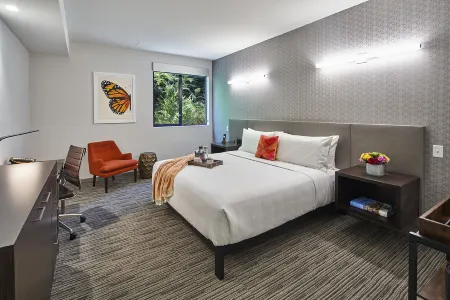 Hotel Mariposa