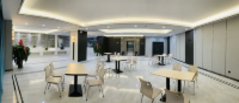 Ruisihao Hotel (Wuzhong Hongsibu) - parking