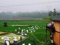 重庆雨仙农谷稻田设计师酒店 - 其他