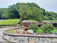 Daishan Xianhai Yisu (Haijiao Park Branch)