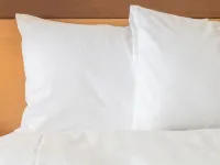 Holiday Inn Toronto Downtown Centre by IHG Hotels near The Beach Village