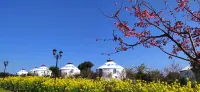 Tonggu Peak Hotel - غرفة مطلة على الجبل