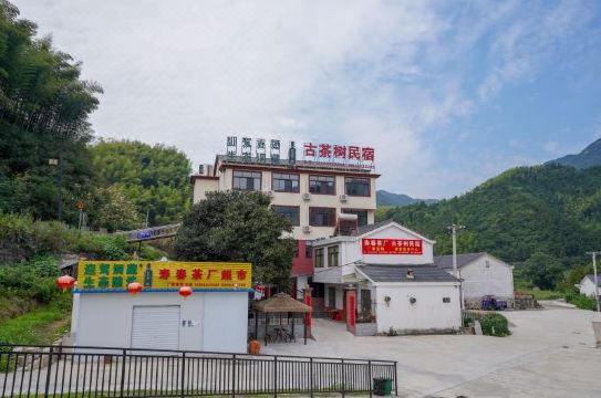 훠산의 고요한 차밭 뷰 숙소 이미지