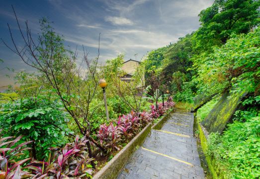 Kite Museum 숙소 전경