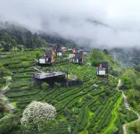 Qiyungu Homestay Hotels in Shangyou