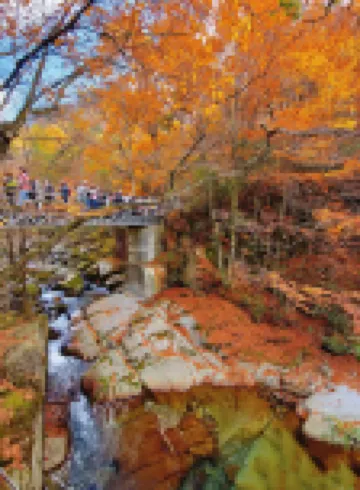 光霧山全興客棧
