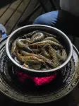 Baisha Bay Capsule Seascape Homestay