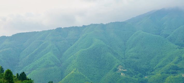 TenBamboo 신이 호텔