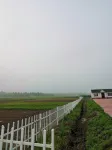 home alone in Hong Li - วิว