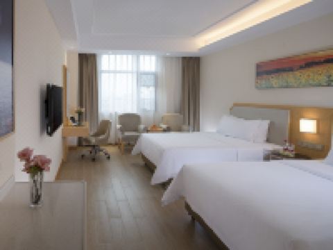 维也纳酒店(浏阳经开区店) - 标准双拼房