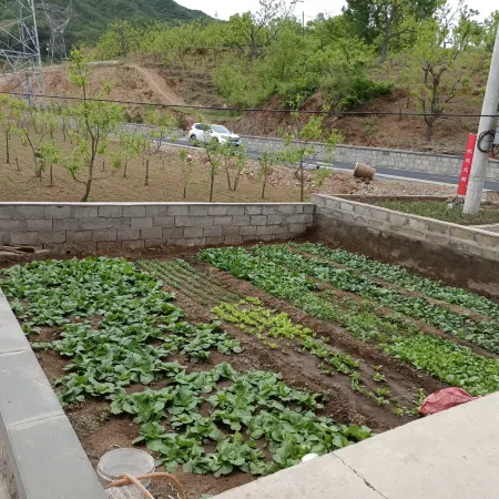 Xinglong Shuangmiao Hexi Farmhouse