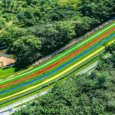 Donghai Forest Hot Spring Resort