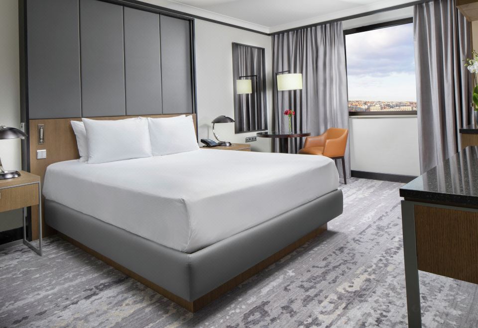 5. 힐튼 프라하 호..