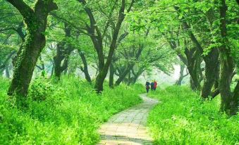 Xinyi Homestay