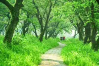 Xinyi Homestay - balkon