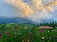 Nalatitri family yard farm