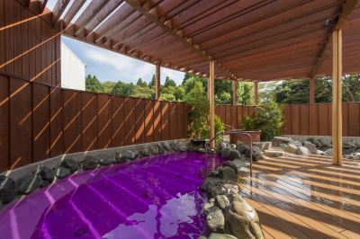 スパ・大浴場 アートホテル成田の写真